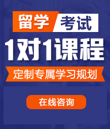 挨肏的小骚屄视频留学考试一对一精品课